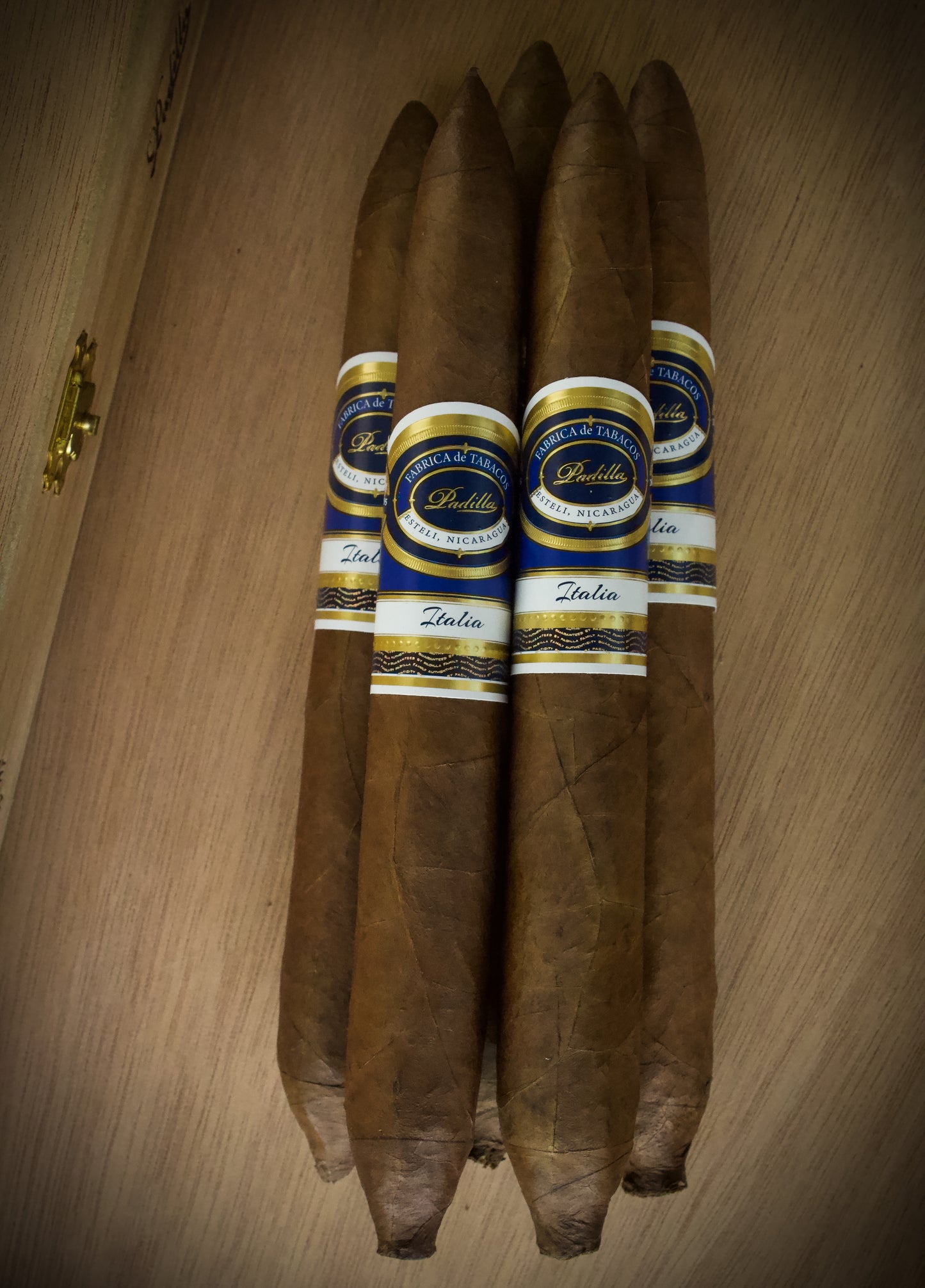 Padilla Italia Gran Salomon 5 Pack