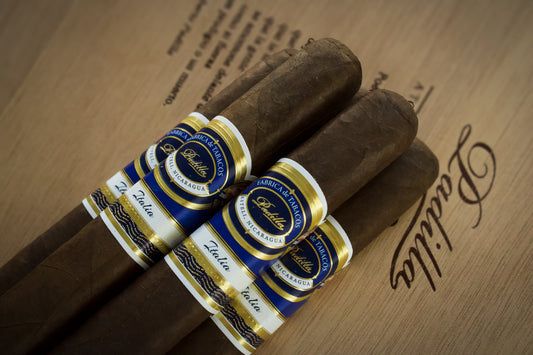 Padilla Italia Maduro box press Robusto 10 Pack