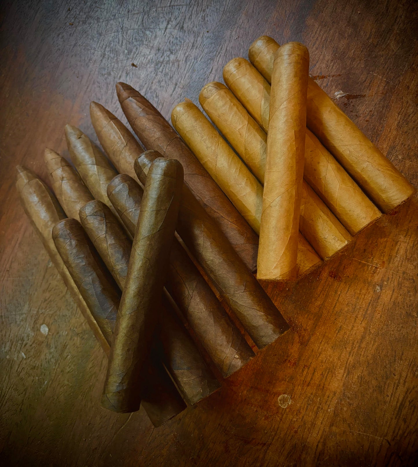 Casa de Padilla 15 CIGAR  Sampler for Just $35!