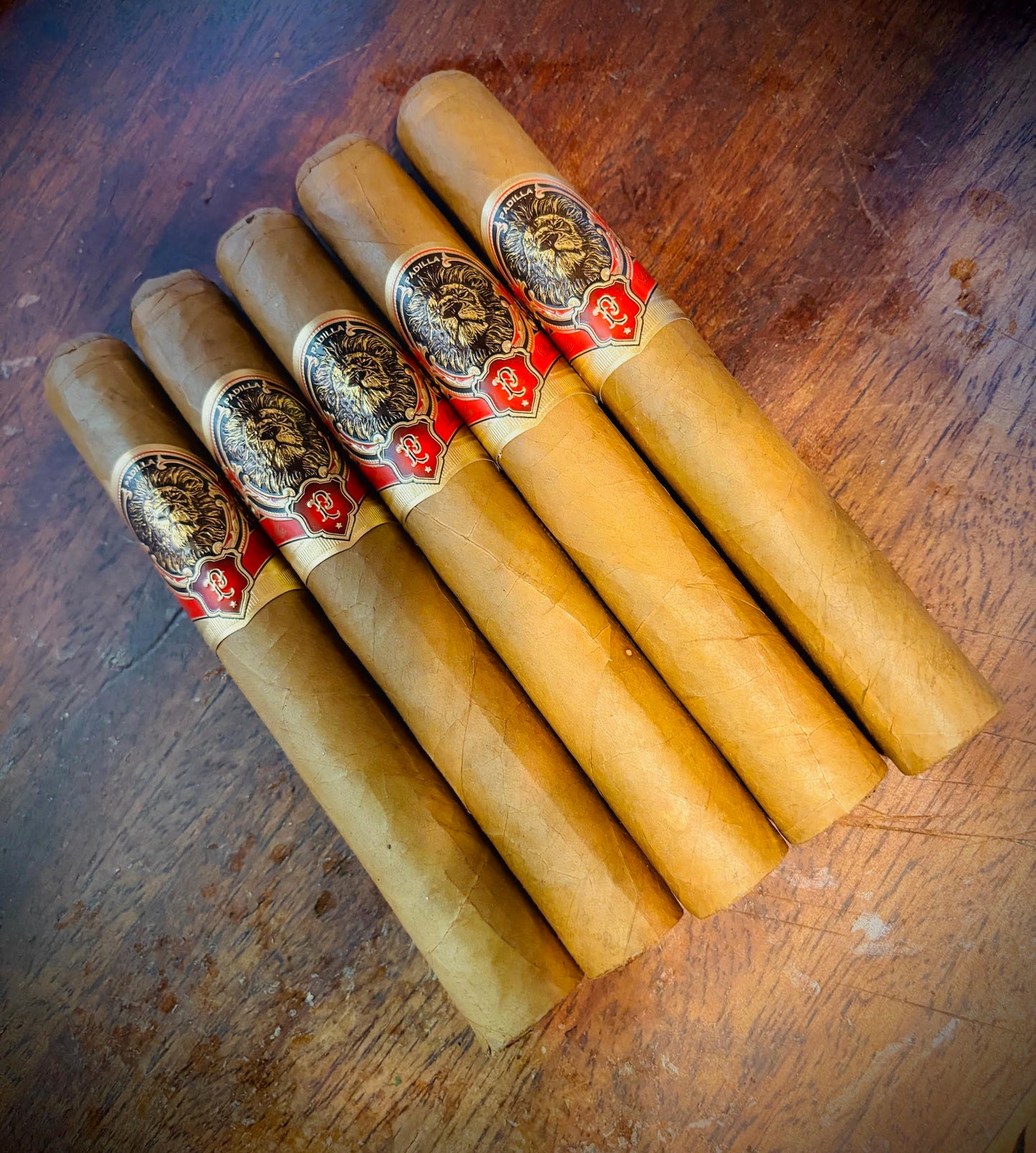 Creamy, Smooth, and Always Reliable — 5 Connecticut Toros for Just $22.99